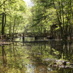 Natur pur