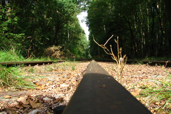 Der Weg